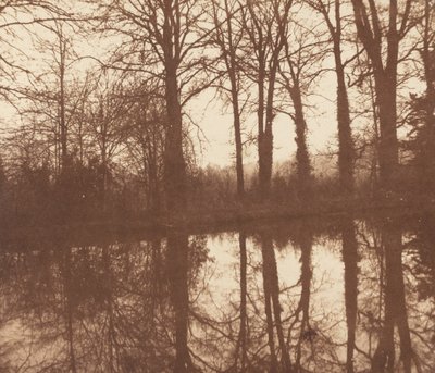 Árvores de inverno, refletidas em uma lagoa de William Henry Fox Talbot