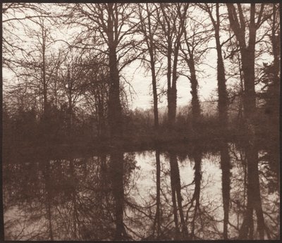 Árvores de inverno refletidas em uma lagoa de William Henry Fox Talbot