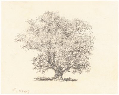 Uma árvore em folha cheia de William Henry Hunt