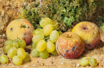 Maçãs e Uvas Brancas, c.1860 (wc no cartão) de William Henry Hunt