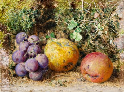 Uvas pretas, marmelo e Newtown Pippin, 1861 (wc no cartão) de William Henry Hunt