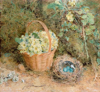 Ninho de Tentilhão com prímulas (wc e guache sobre papel) de William Henry Hunt