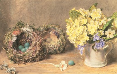 Flores de primavera e Ninhos de Pássaros, c.1830 (aguarela e cor de corpo sobre papel) de William Henry Hunt