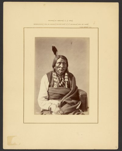 [Carga sobre o Hauk - (Brulé Dakota) de William Henry Jackson