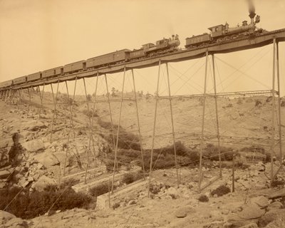 Ponte Dale Creek, Wyoming por Jackson de William Henry Jackson