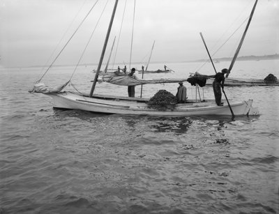Ostra de dragagem. c.1890-1910 de William Henry Jackson