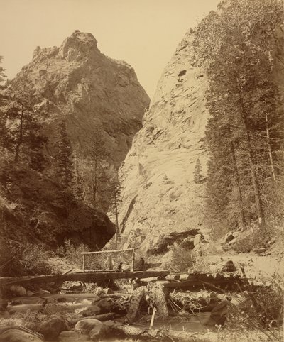  de William Henry Jackson