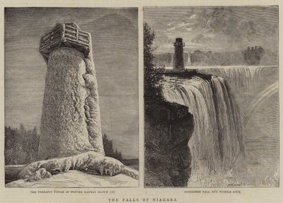 As Cataratas do Niágara de William Henry James Boot
