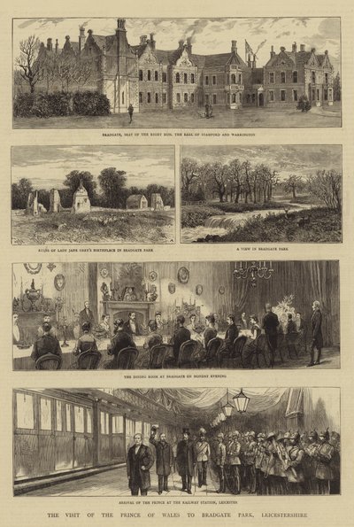 A visita do príncipe de Gales a Bradgate Park, Leicestershire de William Henry James Boot