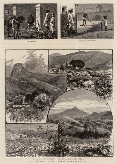 O Wynaad Gold Fields, sul da Índia de William Henry James Boot