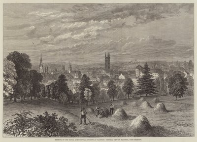 Reunião da Royal Agricultural Society em Taunton, General View of Taunton, de Belmont de William Henry Pike