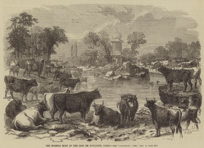 O Anfitrião Horned no Bois de Boulogne, Paris de William Henry Prior