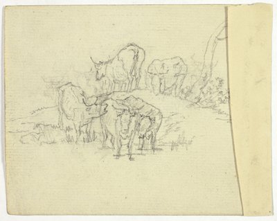 Gado (reto); O Charlatão (verso) de William Henry Pyne
