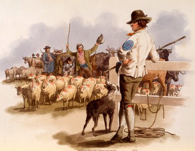 Smithfield Drover, de "Os trajes da Grã-Bretanha", 1808 de William Henry Pyne