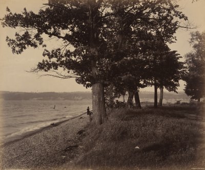 Lago Cayuga, Sheldrake, c. 1895 (foto) de William Herman Rau