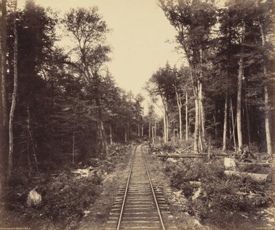 Ramal do Lago Ganoga, c. 1895 (foto) de William Herman Rau