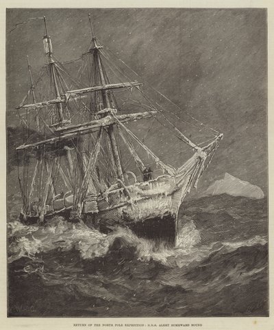 Retorno da Expedição do Polo Norte, Alerta HMS Homeward Bound de William Heysham Overend