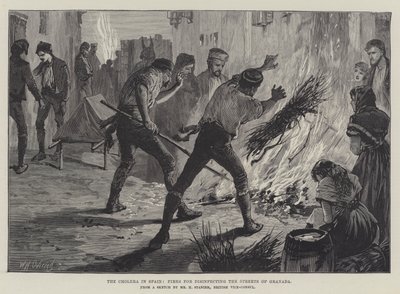 A cólera na Espanha, Incêndios para desinfetar as ruas de Granada de William Heysham Overend