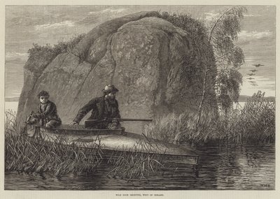 Tiro de pato selvagem, gravura do oeste da Irlanda de William Heysham Overend