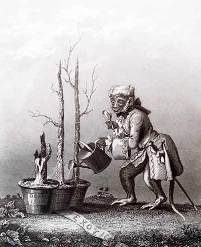 Peça de cauda do catálogo dos artistas de William Hogarth