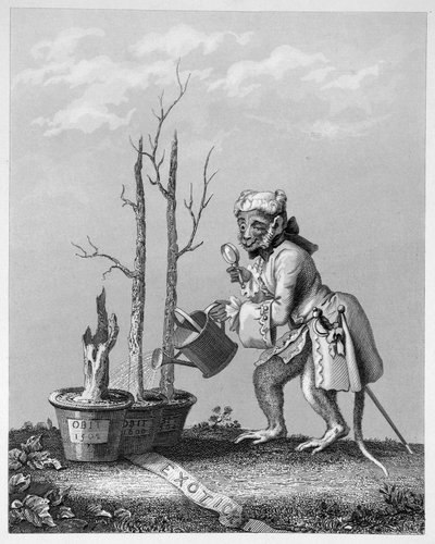 Cauda, Peça ao catálogo de Artistas, 1761 de William Hogarth