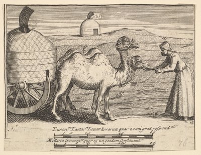 Dois dromedários Aubry de La Mottrayes Viaja pela Europa, Ásia e parte ..., 1723-24. de William Hogarth