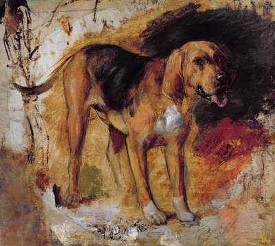 Um estudo de um Bloodhound de William Holman Hunt