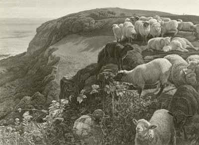 Na encosta (gravura) de William Holman Hunt