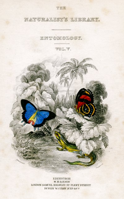 The Naturalists Library, Entomology, Vol. V, Borboletas, c1833-1865. de William Home Lizars