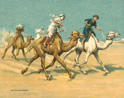 Raças Históricas e Modernas, Raças de Camelo (chromolitho) de William Hounsom Byles