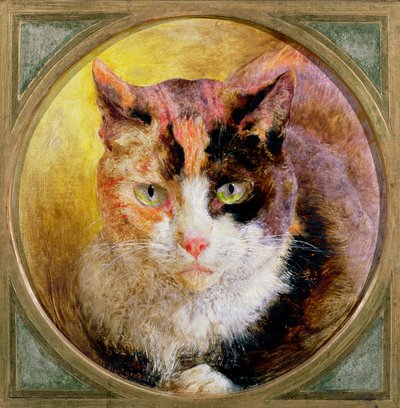 Um estudo da cabeça de um gato de tartaruga, 1866 de William Huggins
