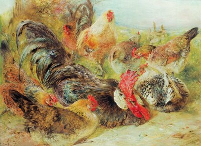 Aves de capoeira de William Huggins