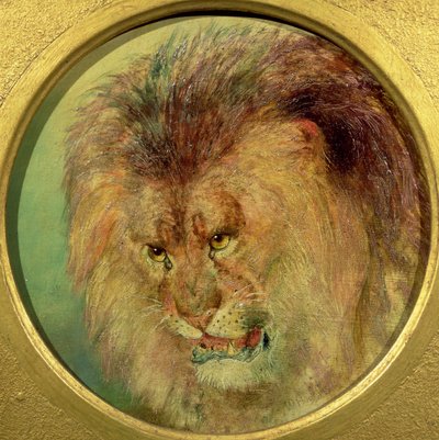 Estudo de um Leão de William Huggins