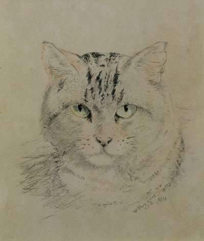 Gato malhado, 1874 (lápis, giz de cera e carvão sobre papel) de William Huggins