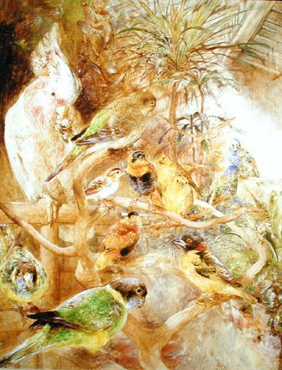 O Aviário de William Huggins
