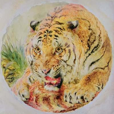 Cabeça de tigre de William Huggins