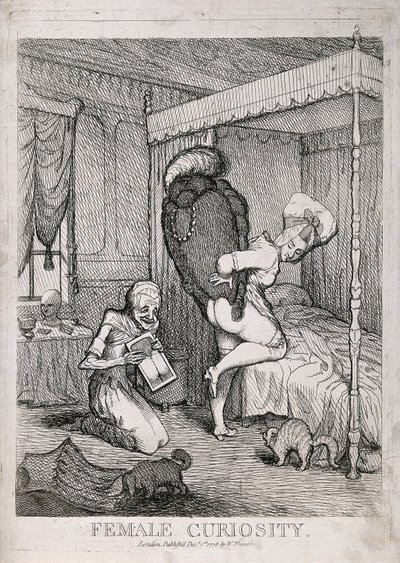 Curiosidade feminina de William Humphrey