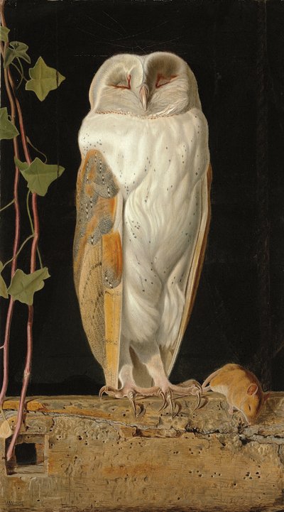 A coruja branca: "Sozinho e esquentando os cinco sentidos, fica a coruja branca no campanário", 1856 de William J. Webbe