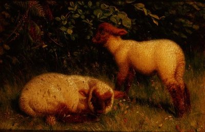 Cordeiros de William J. Webbe or Webb