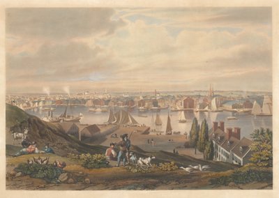 Baltimore vista de Federal Hill de William James Bennett