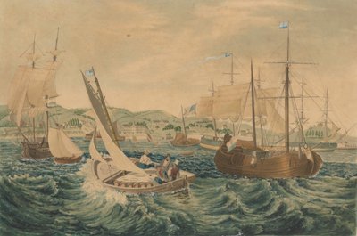 Quarentena, Staten Island, 1833. de William James Bennett