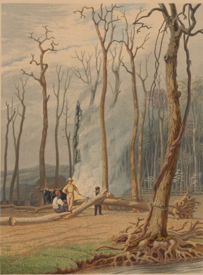 Primavera... Queimar árvores caídas numa clareira. Cena Ocidental, 1841. de William James Bennett
