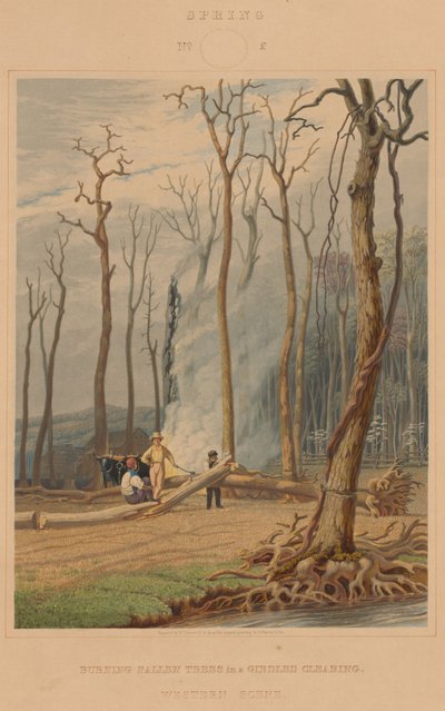 Primavera - Queimando árvores caídas em uma clareira cingida. Cena ocidental de William James Bennett after George Harvey