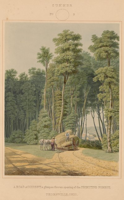 Verão - um acidente de viação. Um vislumbre de uma abertura da Floresta Primitiva. Thornville, Ohio de William James Bennett after George Harvey