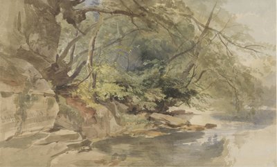 Rosto em Stapleton Wood, perto de Bristol de William James Muller