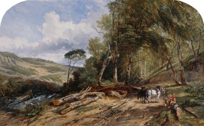 Transporte de madeira (óleo sobre tela) de William James Muller