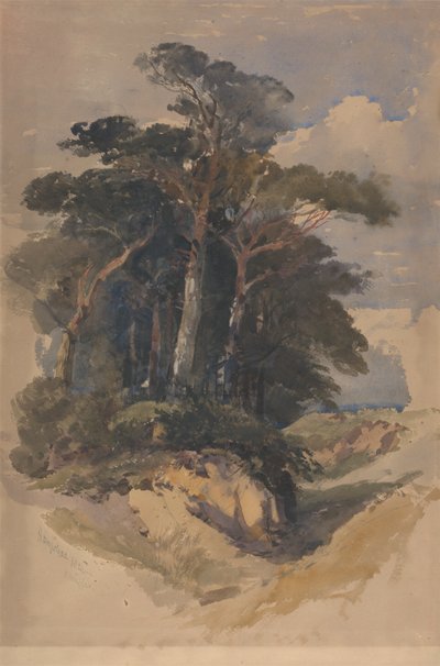 Pinheiros em Hampstead Heath de William James Muller
