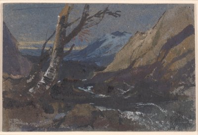 Estudo de árvores junto a um ribeiro de montanha de William James Muller