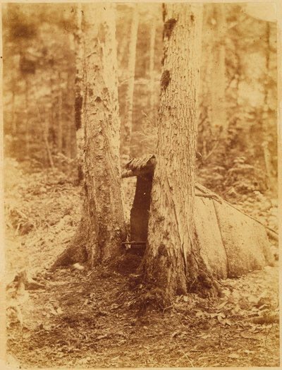 Sem título, da coleção A Floresta: Bosques de Adirondack de William James Stillman