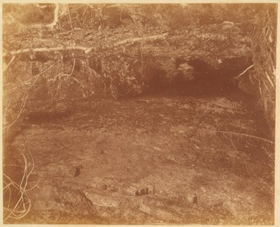 Sem título, da coleção A Floresta: Bosques de Adirondack de William James Stillman